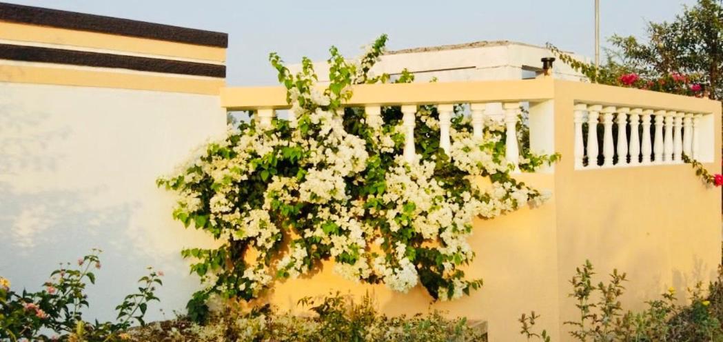 Royal Meadows - Igatpuri Bungalow B 외부 사진